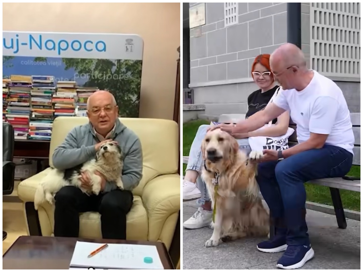 Primăria Cluj-Napoca devine "pet friendly"
