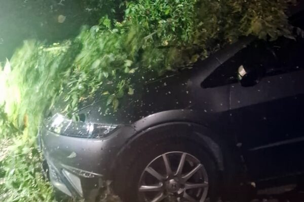 Furtună puternică la Cluj. Mai mulți arbori au căzut peste mașinile parcate