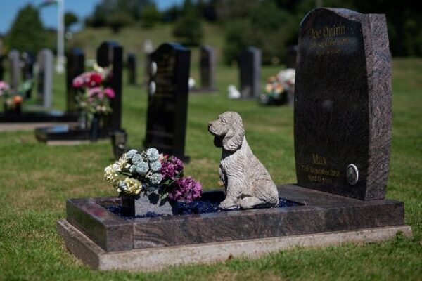 Din dragoste pentru animale! Clujul va avea primul cimitir pentru prietenii noștri necuvântători. Proiectul a intrat în consultare publică