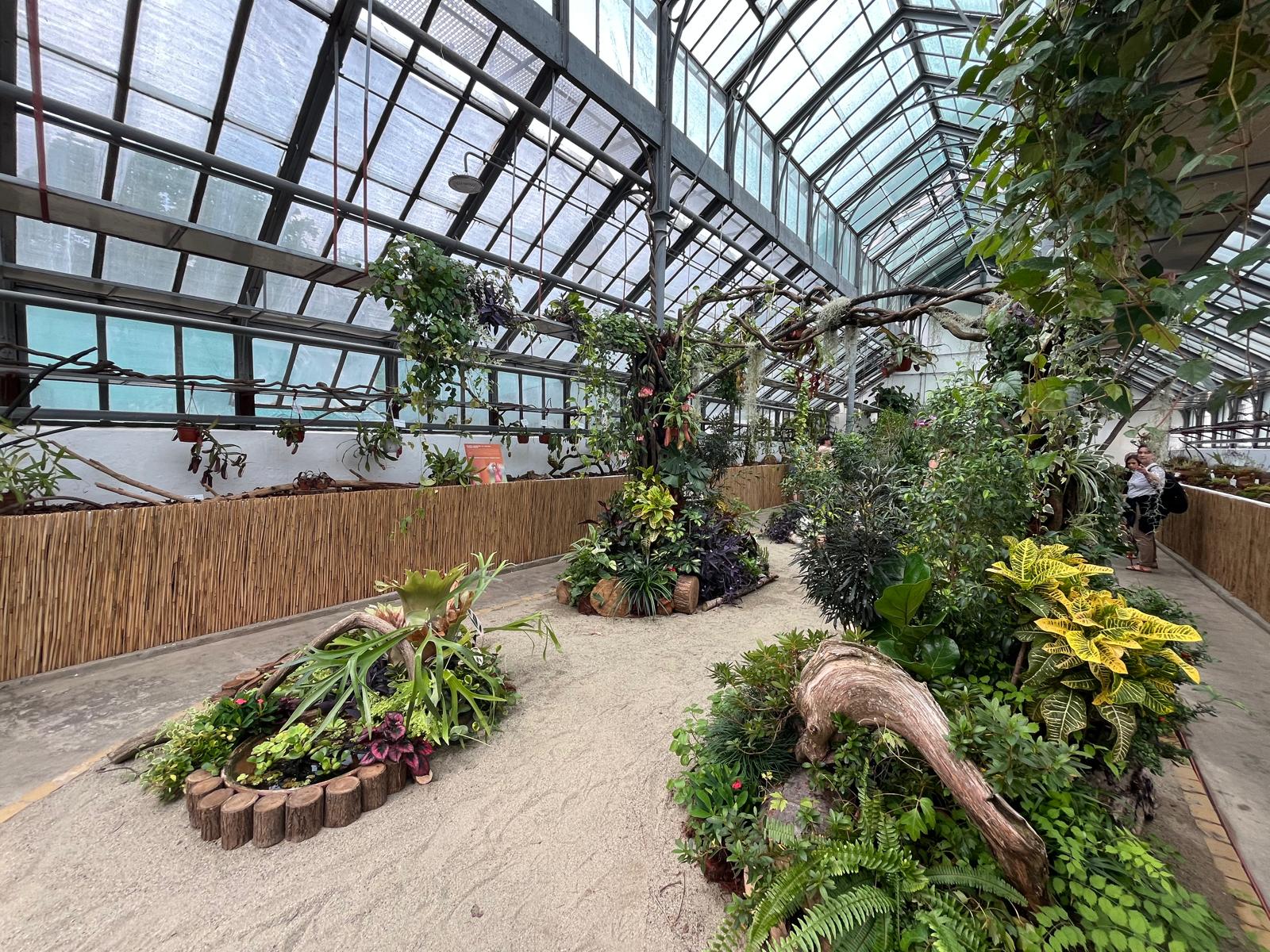 S-a deschis expoziția de plante carnivore la Grădina Botanică Cluj