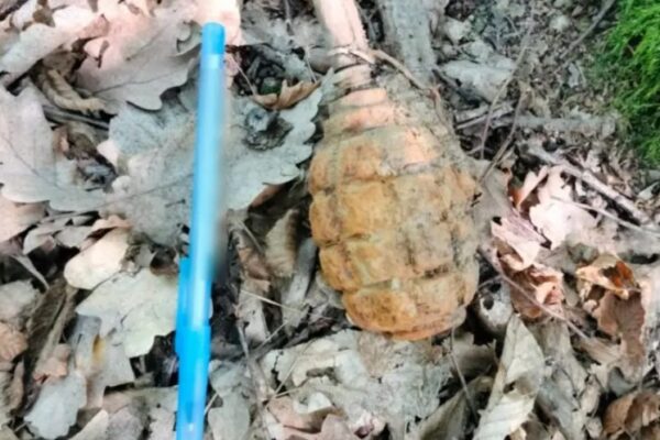 Descoperire șocantă într-o pădure din Cluj. S-a găsit o grenadă periculoasă