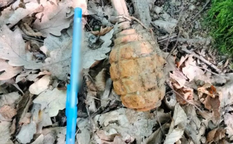 Descoperire șocantă într-o pădure din Cluj