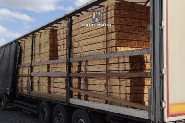 Încă un transport ILEGAL de lemne a fost depistat la Cluj! Ce amendă drastică a încasat firma?