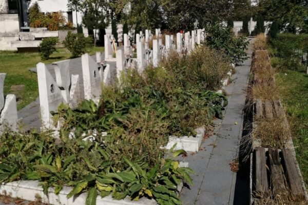 Mormintele Eroilor Revoluției din Cluj sunt pline cu buruieni. Nu le curață nimeni aproape niciodată