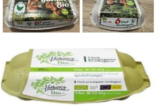 ALERTĂ ALIMENTARĂ – Ouă cu Salmonella au fost retrase urgent de la raft! NU LE CONSUMAȚI