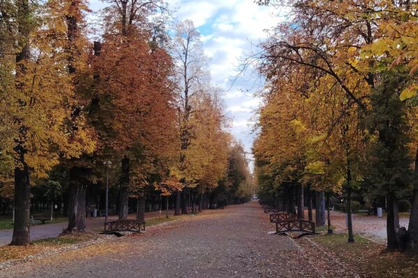 De la umbrele la fulare: Prognoza meteo la Cluj în acest weekend