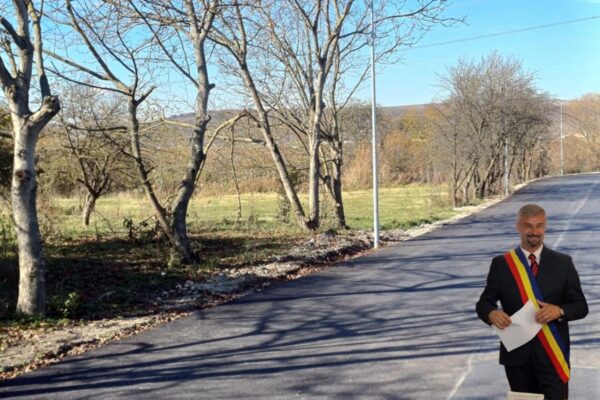 Le-au făcut un drum prin grădină, și i-au tăiat nucii. Nimeni nu face nimic. S-a întâmplat la Jucu, Cluj, unde totul pare posibil