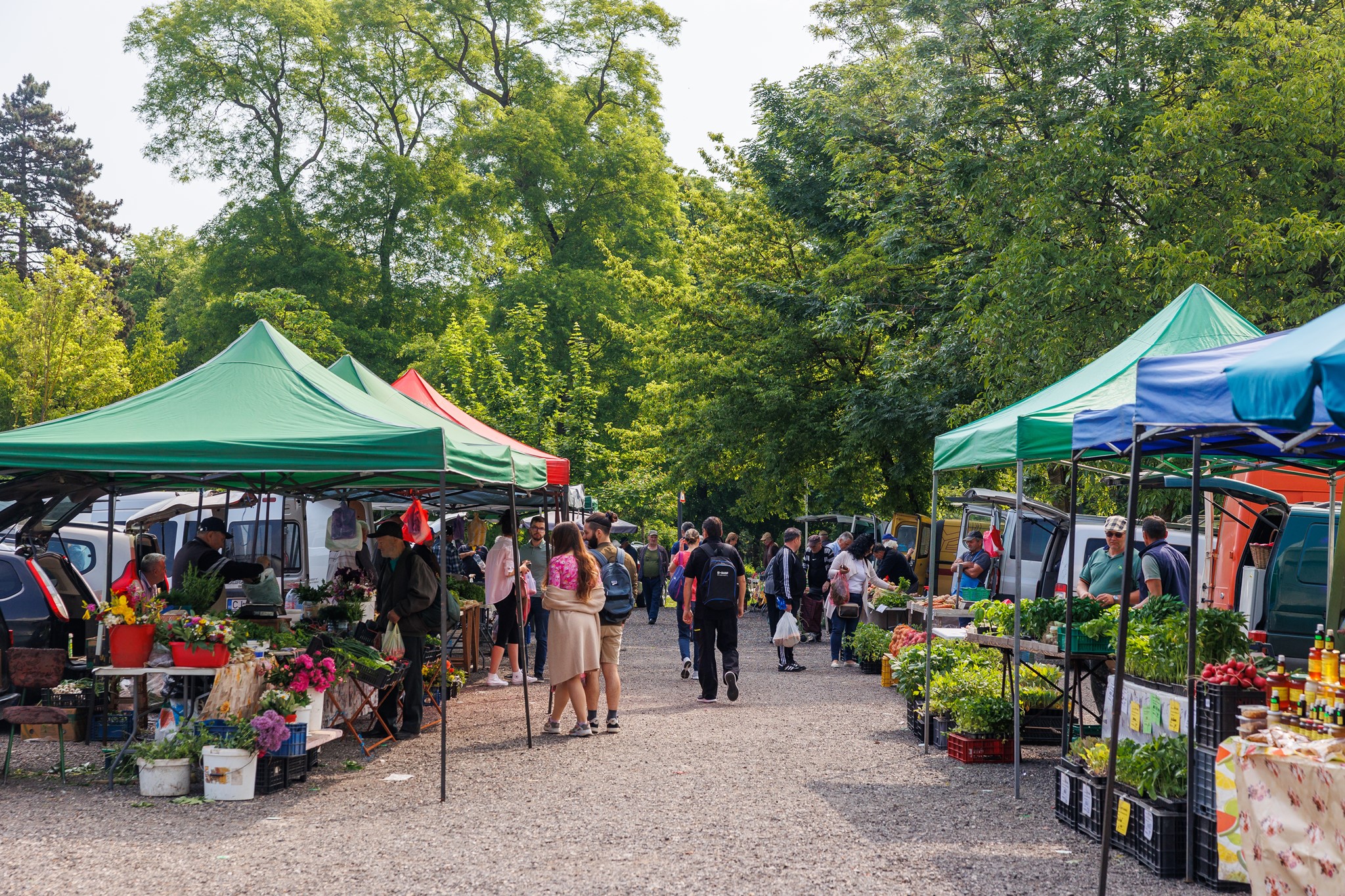 Piețele volante din Cluj trec la programul de toamnă! Află când mai prinzi legume proaspete la Cluj Arena și în Gheorgheni