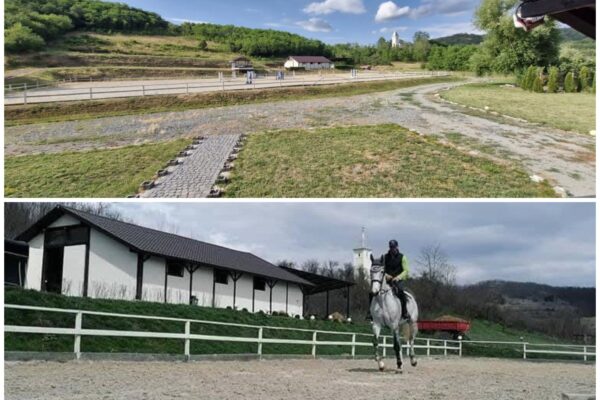 Cu cât se vinde o afacere la cheie în Cluj în domeniul echitației?