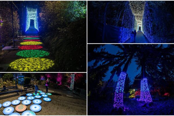 Grădina Botanică din Cluj transformată într-o poveste. Un loc de basm, unde toată lumea o caută pe Albă ca Zăpada