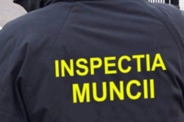 Inspecția Muncii a descins în forță în depozitele firmelor de curierat din Cluj. Ce au descoperit?