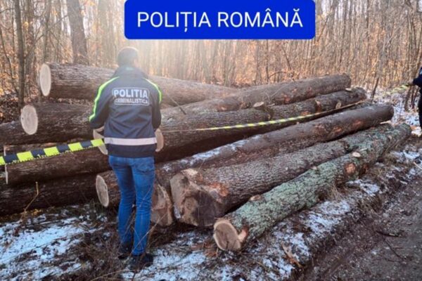 Pădurar condamnat la Cluj, pentru fals și uz de fals. Programul SUMAL este o glumă bună