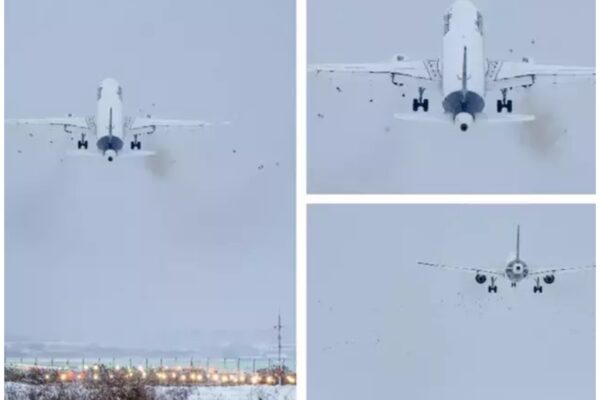 Aterizare ratată pe Aeroportul Internațional Cluj. O aeronavă Lufthansa a lovit în plin un stol de păsări